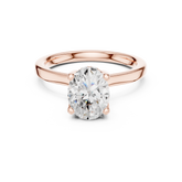 Raised Setting Hidden Halo Ring